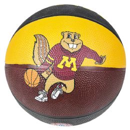 25 pieces 9.5inch Minnesota Reg Basketball - Basketballs