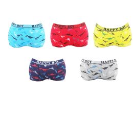 30 of Boys Assorted Underwear