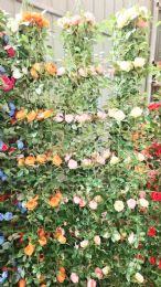 6 Pieces Flower Vine 80in - Home Accessories