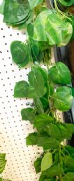 12 of Green Leaf Vine 12pc Pack