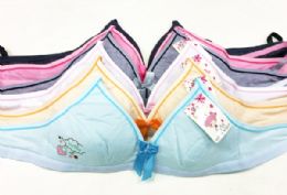 12 of Little Girl Bra Assorted Sizes 12pc Pack