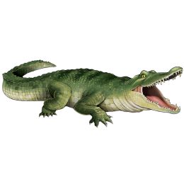 144 pieces Jointed Crocodile - Photo Prop Accessories & Door Cover