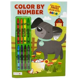 48 Pieces Color By Numbers Coloring Book With Crayons - Coloring & Activity Books
