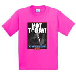12 pieces "not Today - You Can't Kill Freedom" Pink T-Shirts - Patriotic Tees