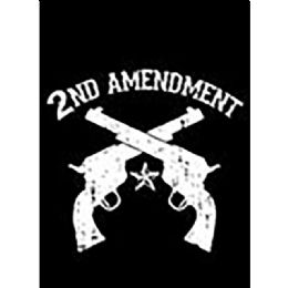12 pieces 2nd Amendment T-Shirt Transfers - Patriotic Tees