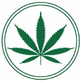 48 Wholesale Car & Refrigerator Magnet Cannabis Leaf Marijuana