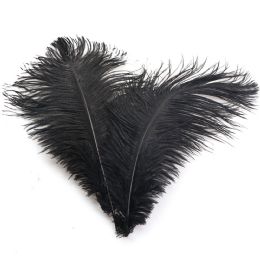 48 pieces Ostrich Feather Black 13-15" - Pom Poms and Feathers