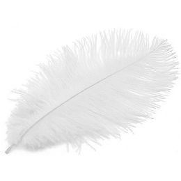 12 pieces Ostrich Feather White 22-24" - Pom Poms and Feathers