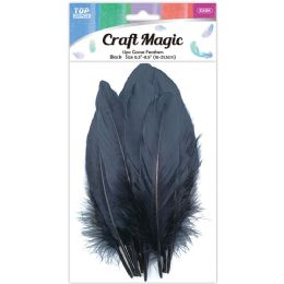 24 Wholesale Goose Feather Black 12ct 16-22cm