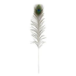 72 Wholesale 30-inch Peacock Feather