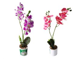 24 Pieces 11 Head Orchid in Pot - Artificial Flowers
