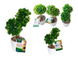 12 Pieces 2 Topiary Balls In Pot - 11-inch H X 4-inch BALL -3.75-inch  - Artificial Flowers