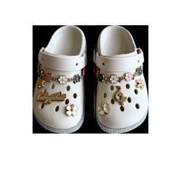 Wholesale Footwear Little Girl Charm Clog (11-3)