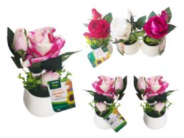 24 Pieces 3 Head Rose With White Pot - Assorted Color - Artificial Flowers