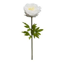 12 Wholesale Jumbo Peony 45" - White