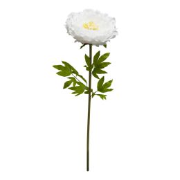 6 Wholesale Jumbo Peony 49" - White