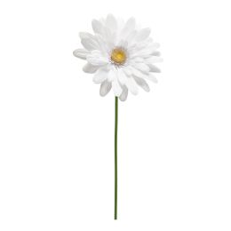 6 Wholesale Jumbo Daisy 55" - White