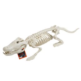 6 pieces Skeleton Crocodile 24.8l Collapsible/hlwn ht - Halloween