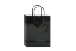 144 Pieces Glossy Gift Bag 10x8x4-inch Em Black - Gift Bags Everyday