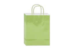 144 Pieces Glossy Gift Bag 10x8x4-inch Em Lime - Gift Bags Everyday