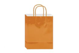 144 Pieces Glossy Gift Bag 10x8x4-inch Em Orange - Gift Bags Everyday
