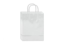 144 Pieces Glossy Gift Bag 10x8x4-inch Em White - Gift Bags Everyday