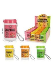 48 Wholesale Wish 20-Piece Sanitizing Hand Wipes with Keychain Clip
