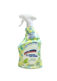 18 Pieces 950ML LYSOL TRIGGER APPLE BLOSSOMS - Cleaning Products