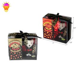 24 Wholesale 7-inch Graduation Bear Set