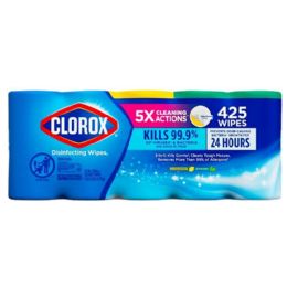 20 Pieces 85-Piece CLOROX DISINfectings WIPEs LEMON FRESH - Cleaning Products