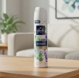 36 Pieces 7.3oz Glade Aerosol Eucalyptus - Air Fresheners