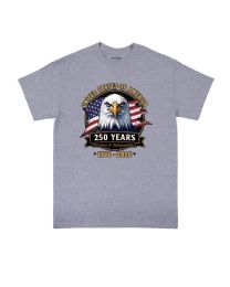 6 Pieces UNITED STATE OF AMERICAN 250 Freedom & Independence USA Eagle Sports Gray Color T-Shirt XXL - Patriotic Tees