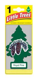 24 Pieces Little Tree Royal Pine Car Freshener 1 Count - Air Fresheners