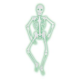 6 Pieces Mr BoneS-A-Glo Skeleton AlL-Weather NitE-Glo Plastic - Bulk Toys & Party Favors
