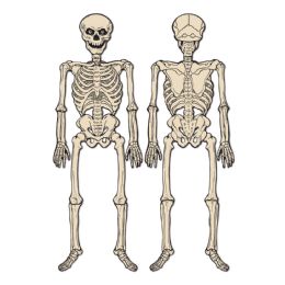 12 of Vintage Halloween Jointed Skeleton Ptrd 2 Sides W/different Designs