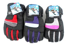 24 Units of Women's Ski Gloves - Ski Gloves