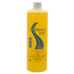 24 Pieces Freshscent 16 Oz. Shampoo And Body Bath - Shampoo And Skin Care For Donation