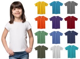 12 Pieces Girls Cotton Assorted Colors T-Shirts Size Small - Girls Tank Tops and Tee Shirts