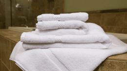 24 Wholesale Hand Towels By Martex In White