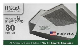 24 Bulk Envelopes 6 3/4 Boxed Security