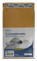 12 Bulk Envelopes 6x9 Prss/seal 30ct