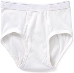 900 Wholesale Gildan Mens Cotton White Brief Size Large