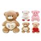 48 Pieces 12" Bear with Heart 4 Colors - Plush Toys