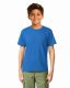 24 Pieces Kids Youth Cotton Royal Blue T Shirts Size X-Large - Boys T Shirts