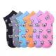 432 Pairs Mamia Spandex Socks (koala) 2-3 - Womens Crew Sock