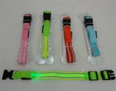Nylon Reflective LighT-Up Buckled Collar [assorted Sizes]