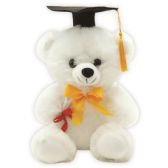 Twelve Inch Graduation Bear