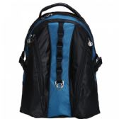 Deluxe Laptop Backpack Fit 15 Inch Laptop