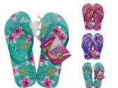 Wholesale Footwear Sandals Women Flip Flops; Size 6-10