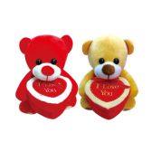 Bear With Gift Box